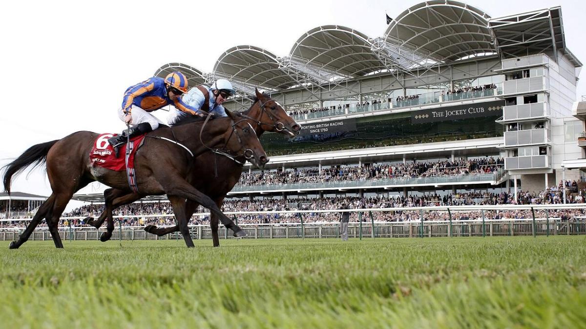 Horse racing at Newmarket